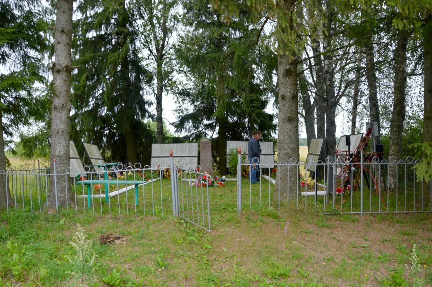 Село грузино новгородская область на карте. Чудово грузино. Грузино новгородская область. Погода грузино новгородская область на неделю. Река волхов грузино.