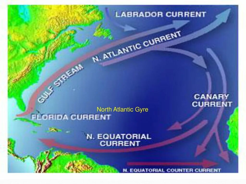 Лабрадорское течение на карте. Гольфстрим и Лабрадорское. Морские течения. Гольфстрим и Лабрадорское течение.