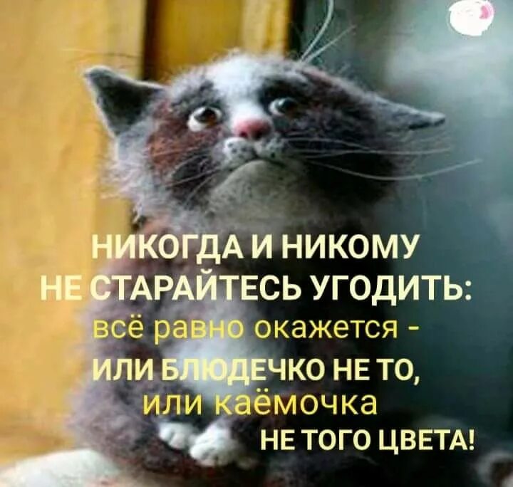 Хорошо надо стараться. Никогда не старайтесь никому угодить. Никогда и никому не старайся угодить. Не старайся угодить людям цитаты. Не пытайся угодить всем.