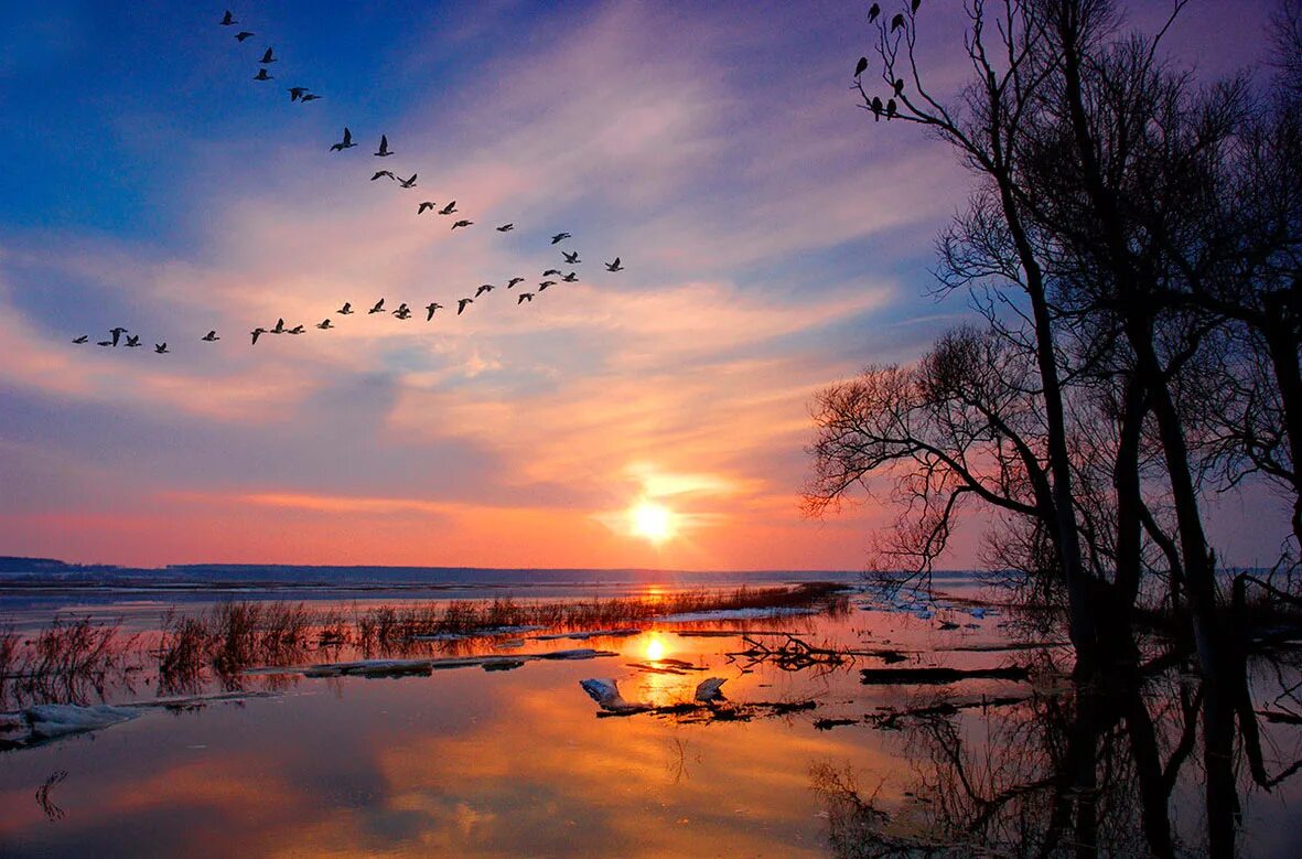 графическая диаграмма восхода и захода солнца. красивый зимний рассвет. рассвет весной. весенний закат. весенний рассвет.