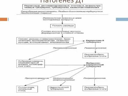 Патогенез острой ревматической лихорадки