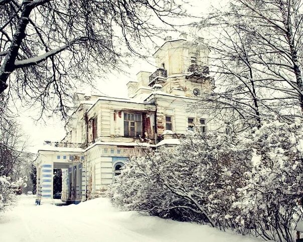 Не одна усадьба и не. Усадьба покровское-засекино. Имение покровское стрешнево. Покровское-глебово усадьба. Середниково парк зимой.