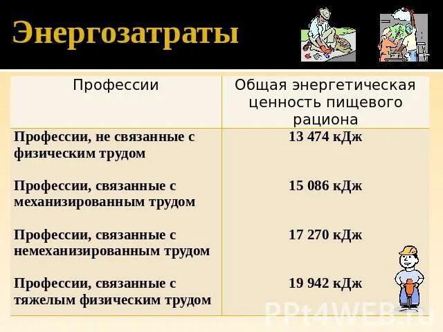 Энерготраты и пищевой рацион. Энерготраты человека и пищевой рацион. Энерготраты человека и пищевой рацион буклет. Энергозатраты профессий. Энергозатраты человека и пищевой рацион 8 класс.