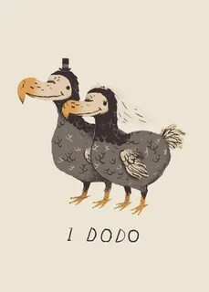 Тверь додо геншин