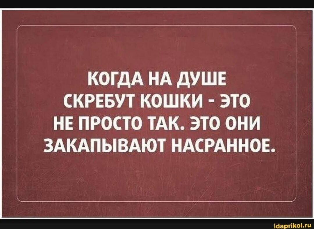 На душе скребутся кошки фразеологизм. Кошки скребут на душе. Когда на душе кошки скребут. Когда в душе скребутся кошки. Кошка в душе.