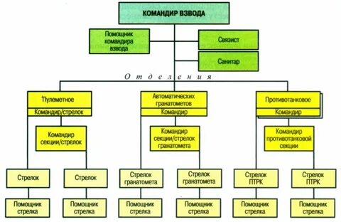 Структура взвода