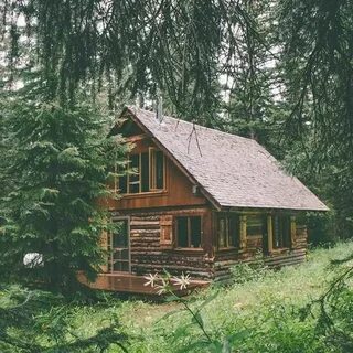 Снять деревянный дом на выходные в лесу