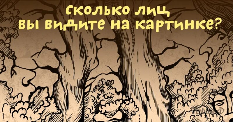 Тест на сколько ты ужасен. Сколько лиц ты видишь на картинке. Сколько на картинке. Сколько лиц на картинке. Сколько лиц ты видишь на картинке дерево.