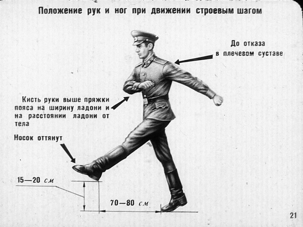Строй высота