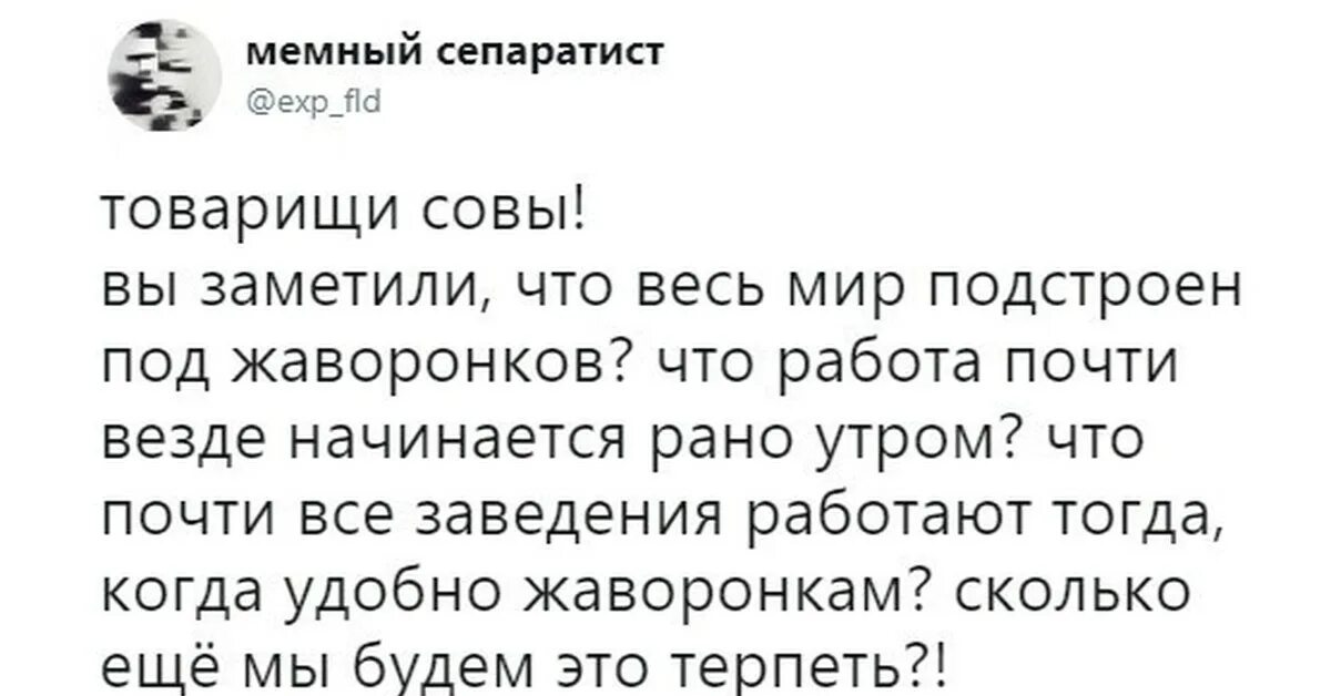 Работа начинается рано утром. Про Жаворонков и сов. Мемы про сов и Жаворонков. Шутки про сову и жаворонка. Анекдот про сов и Жаворонков.