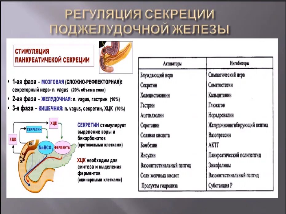 Ферменты вырабатываемые пищеварительными железами