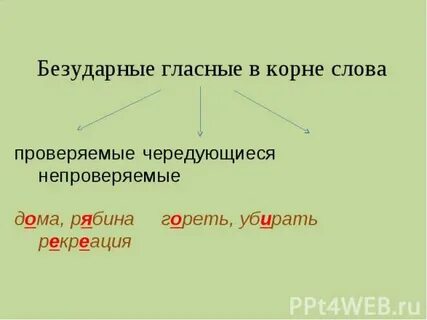 Рябина проверочное слово