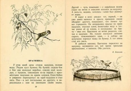 Рассказ братик