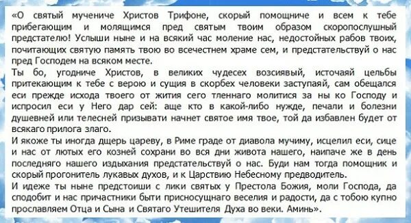 Молитва св трифонов. Молитва святому Трифону о работе. Молитва о работе Трифону сильная. О Святый мучениче Христов Трифоне. Молитва Христов Трифоне.