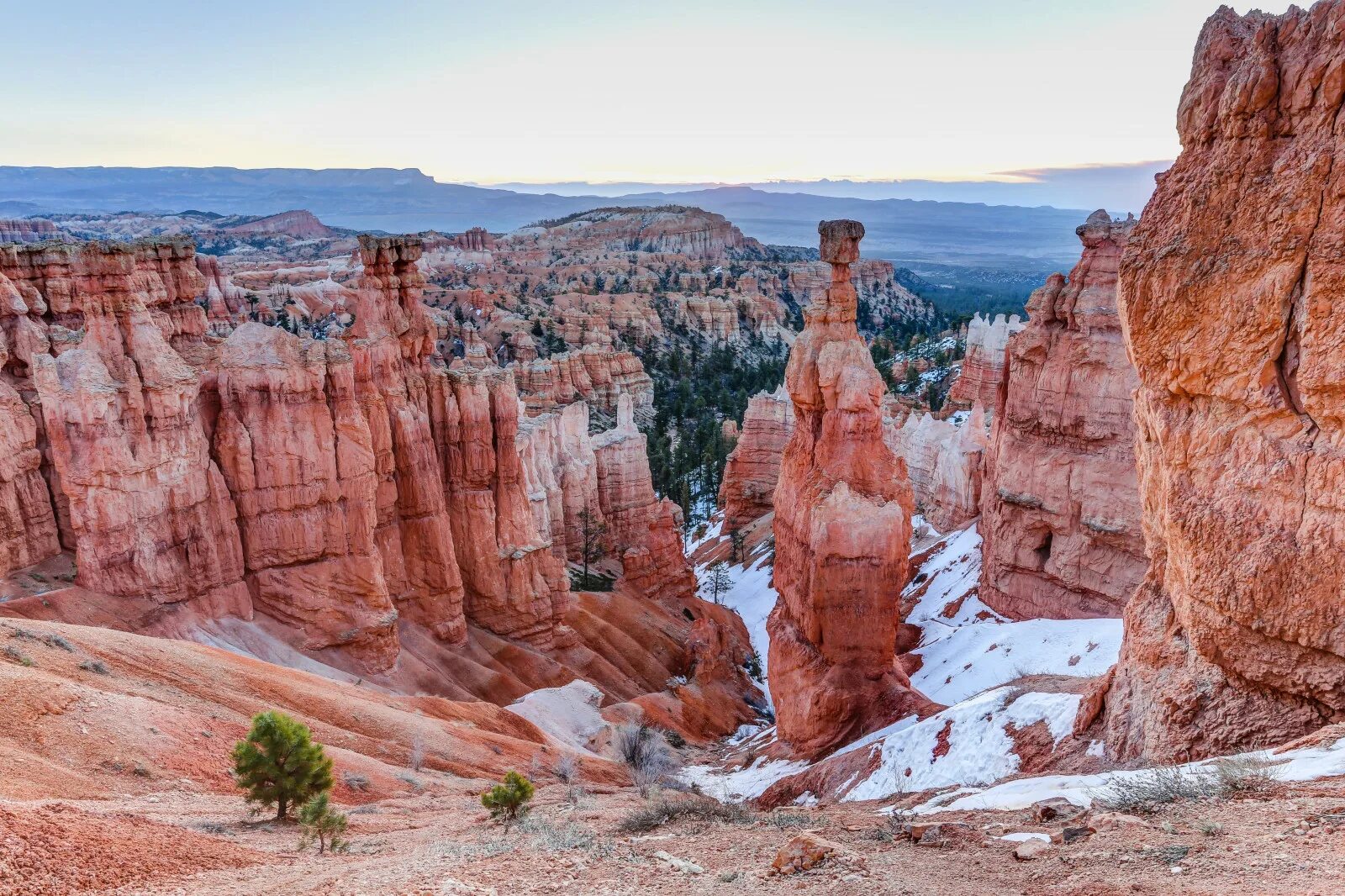 National park usa. Национальный парк Брайс-каньон, Юта, США. Национальный парк Брайс каньон Юта. Штат Юта. Национальный парк Зайон, штат Юта, США.