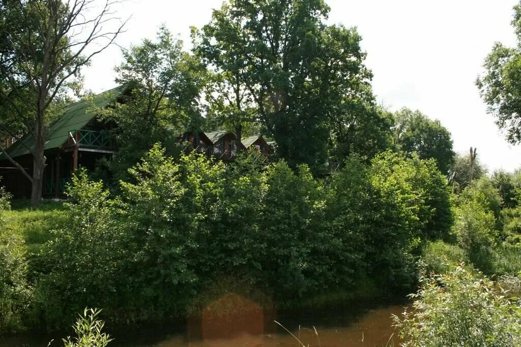 Деревня отрада будогощь. Отрада ленинградская область деревня. Деревня отрада тамбовская область. Село отрада рязанской области. Отрада орловская область.