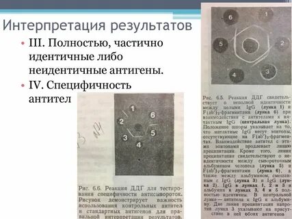 Не частично не полностью