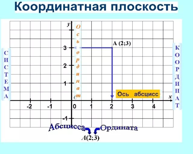 Найдите точку абсцисса которой противоположна ординате. Оси абсцисс и ординат 6 класс. Оси на координатной плоскости. Ось абсцисс. Что такое ось абсцисс на координатной плоскости.