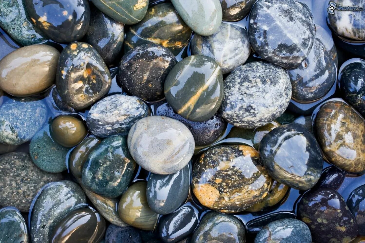 Stone photo. Морские камни. Красивые камни. Речные камни. Красивые камушки.