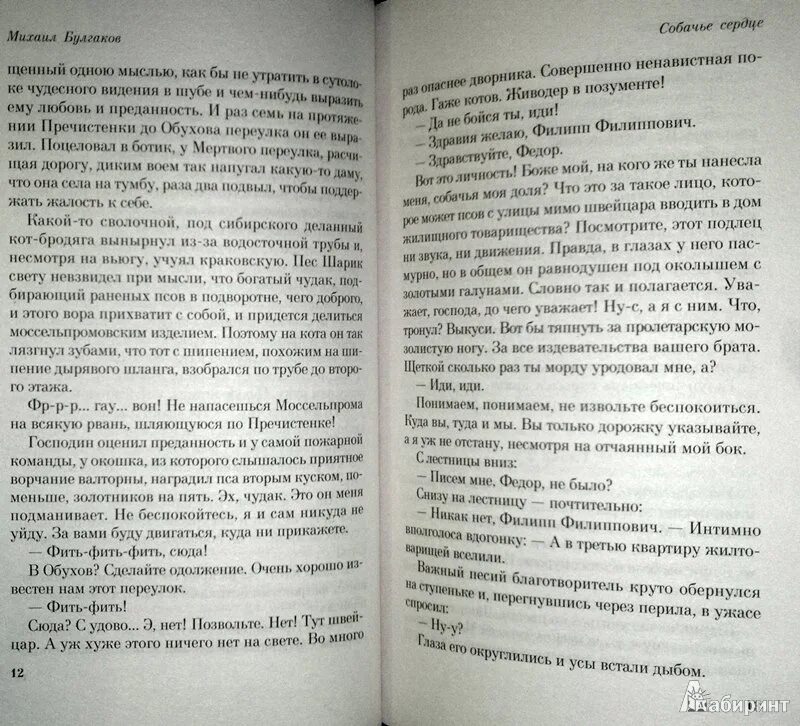 Собачье сердце книга содержание. Книга &quot;собачье сердце&quot;. собачье сердце булгаков книга. собачье сердце сколько страниц в книге. булгаков собачье сердце сколько стр.