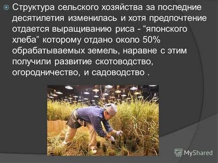 Отрасли хозяйства японии