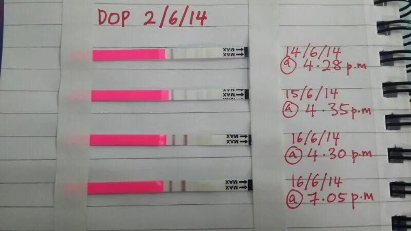 Тест на беременность дата серий. Тест strip Ovulation. HOMETEST беременность. LH тест когда показывает. Тест LH 387.