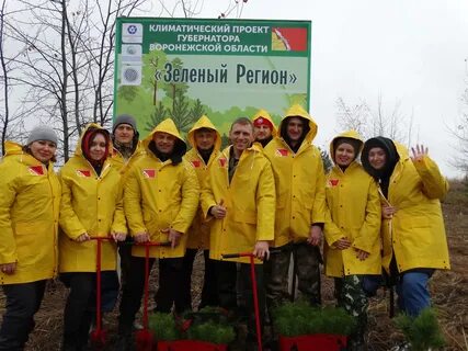 Воронежская область зеленый регион