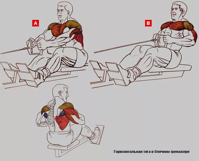 Горизонтальная тяга на спину. Тяга горизонтального блока сидя. Упражнения на спину тяга горизонтального блока. Тяга горизонтального блока мышцы задействованы. Тяга горизонтального блока к поясу сидя.