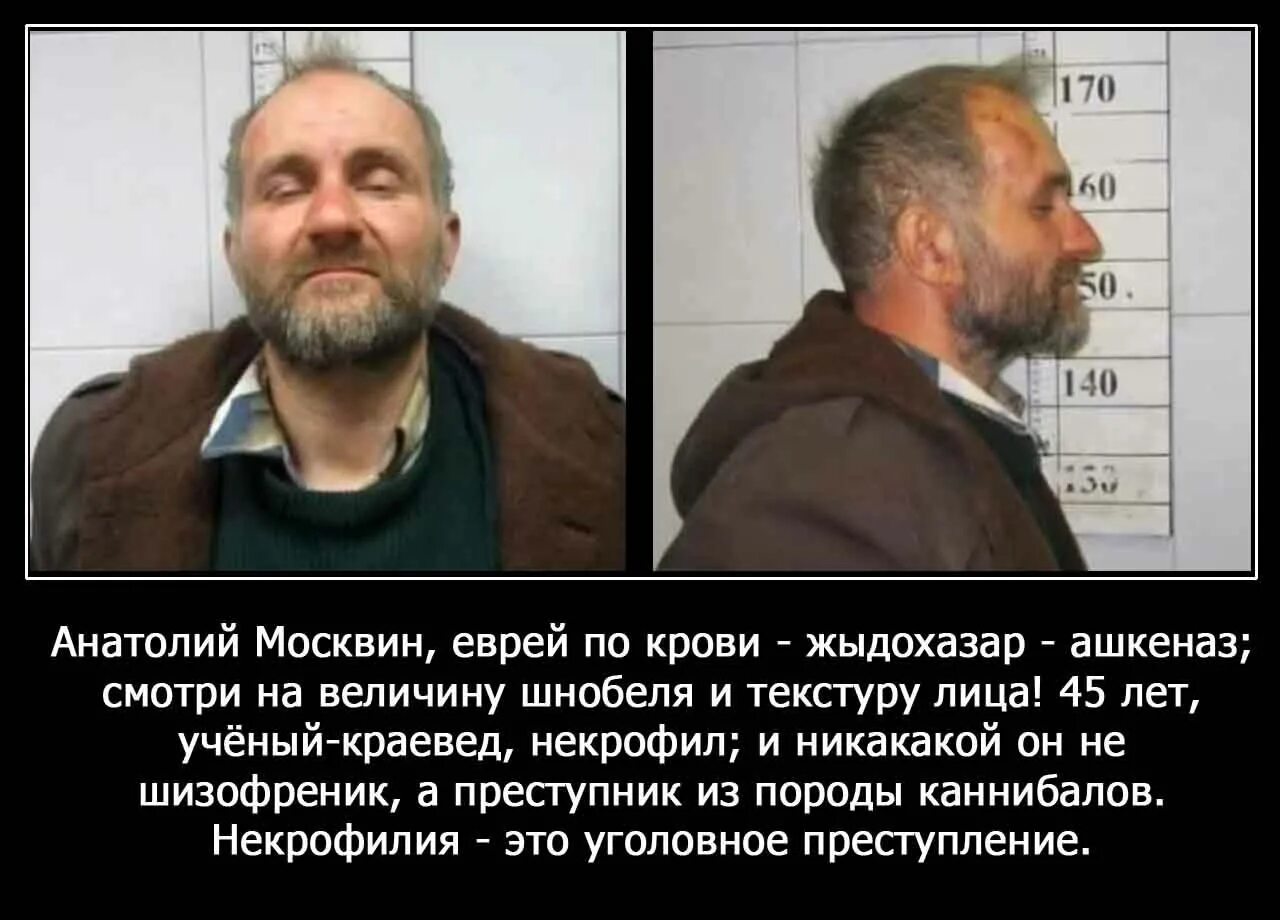 Поц по-еврейски это. Поц с еврейского. Кто такой поц. Поц кто это у евреев