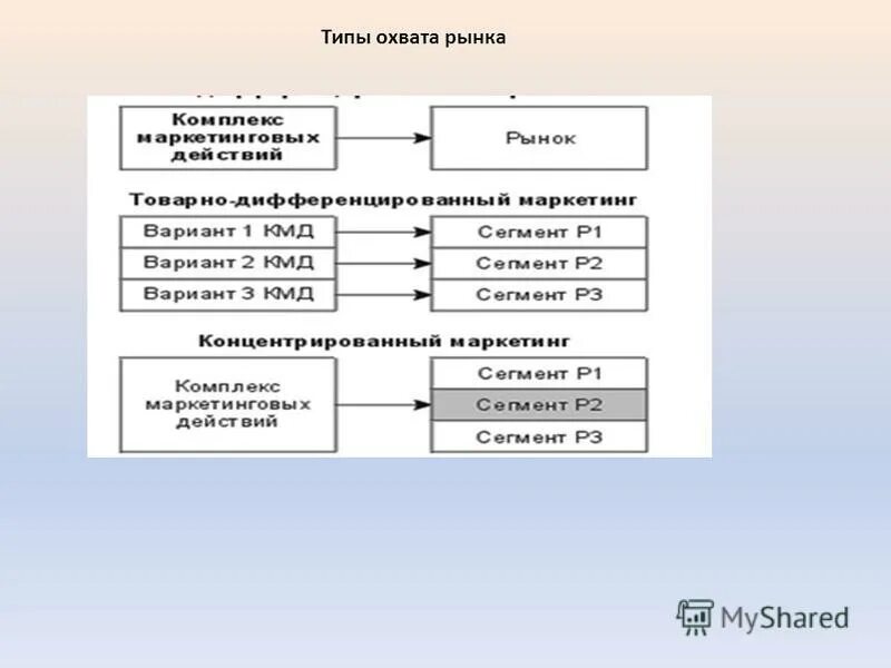 Инструменты для охвата аудитории. Разновидности базовых покрытий. Охват рынка. Стратегии охвата рынка. Виды сегментации рынка в маркетинге.
