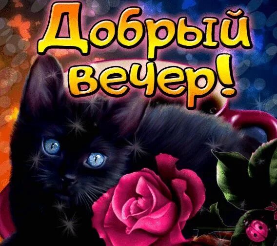 Галина Еремина (tom85011) - Profile Pinterest