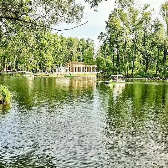 Парк культуры и отдыха абакан. Парк в северской островок. Парк в северской островок. Царицыно островок. Парк царицыно островок.