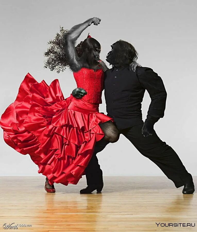 Lindy hop танцоры. Безумный танец. Сальса бачата. Веселый танец. Комичный балет.