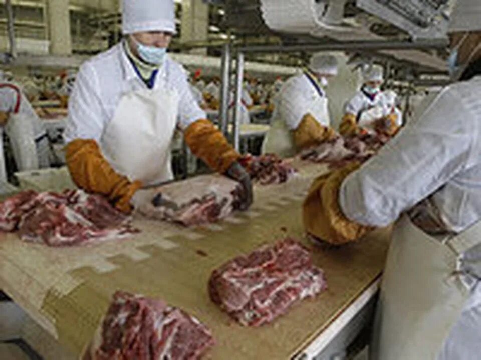 Предприятий мясной промышленности. Мясная промышленность. Мясной заготовочный цех. Мясной цех общественного питания. Мясо на предприятия питания поступает.