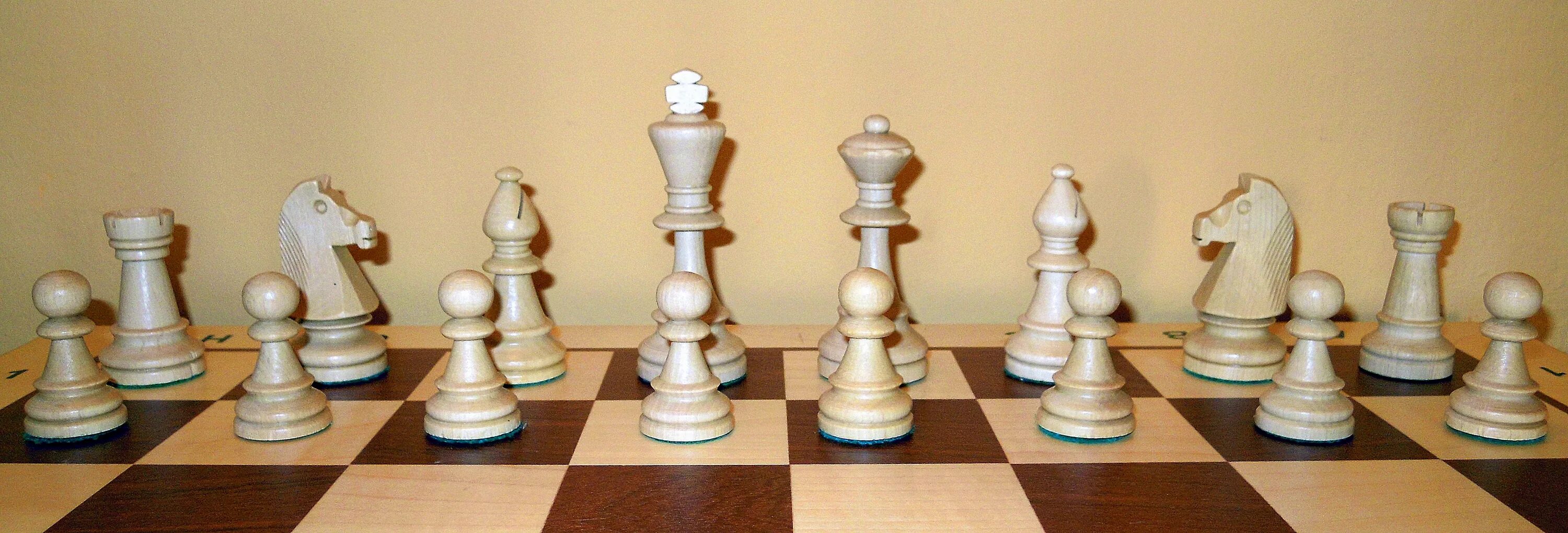 На шахматной доске 5 белых фигур. Игра шахматы Chess. Фигуры Шахматов. Фигурки Шахматов. Слон шахматная фигура.