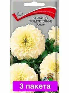 Бархатцы эскимо описание