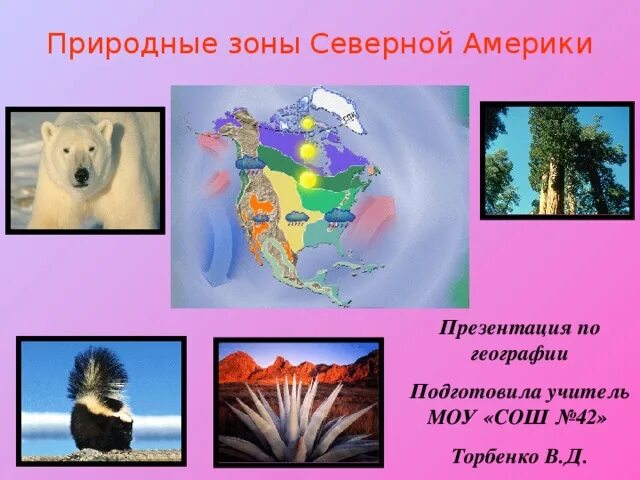 Изменение природы северной америки человеком сообщение. Природные зоны Северной Америки. Коллаж природной зоны Северной Америки. Природные зоны Северной Америки презентация. Природные зоны Северной Америки животные.