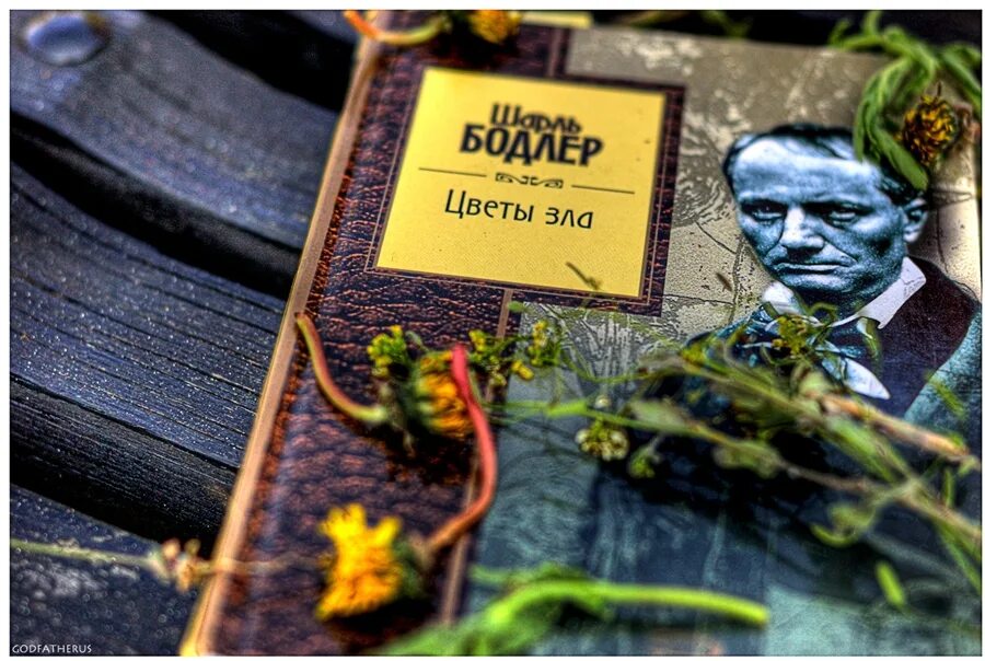 Цветы зла поэт. «цветы зла» шарля бодлера. бодлер цветы зла 1857 обложка.