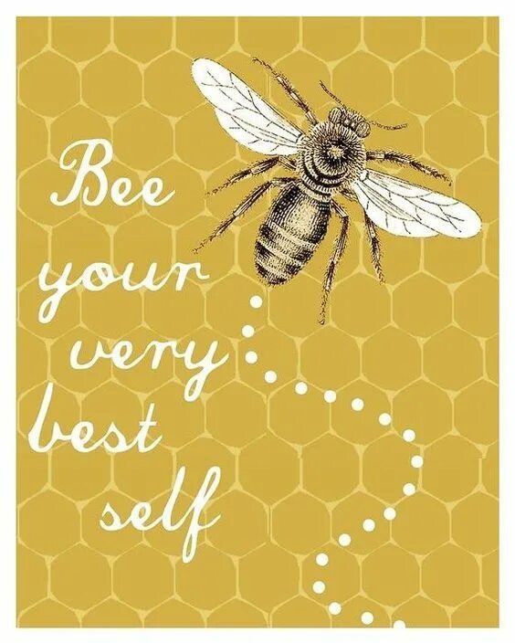 Stickers found by your bees while gathering