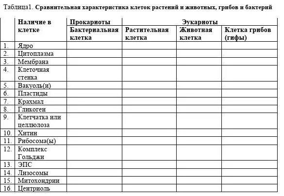 Строение растительной животной грибной бактериальной клетки таблица. Клетки растений животных грибов и бактерий таблица. Сравнительная таблица растительной животной и грибной клетки. Растительная животная и грибная клетка таблица. Сравнение бактерий и растений