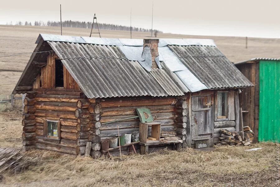 Деревня березовка. Красноярский край Идринский район село Новоберезовка. Деревня Березовка Идринский район Красноярского края. Д Колдыбай Идринский район. Ирбейский район Красноярский край деревня Березовка.