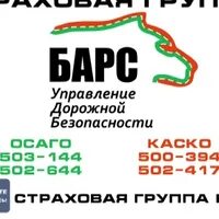 Ооо барс 2. Барс Кострома. Барс Ирбит. Автострахование Барс. ООО Барс страхование Кострома.