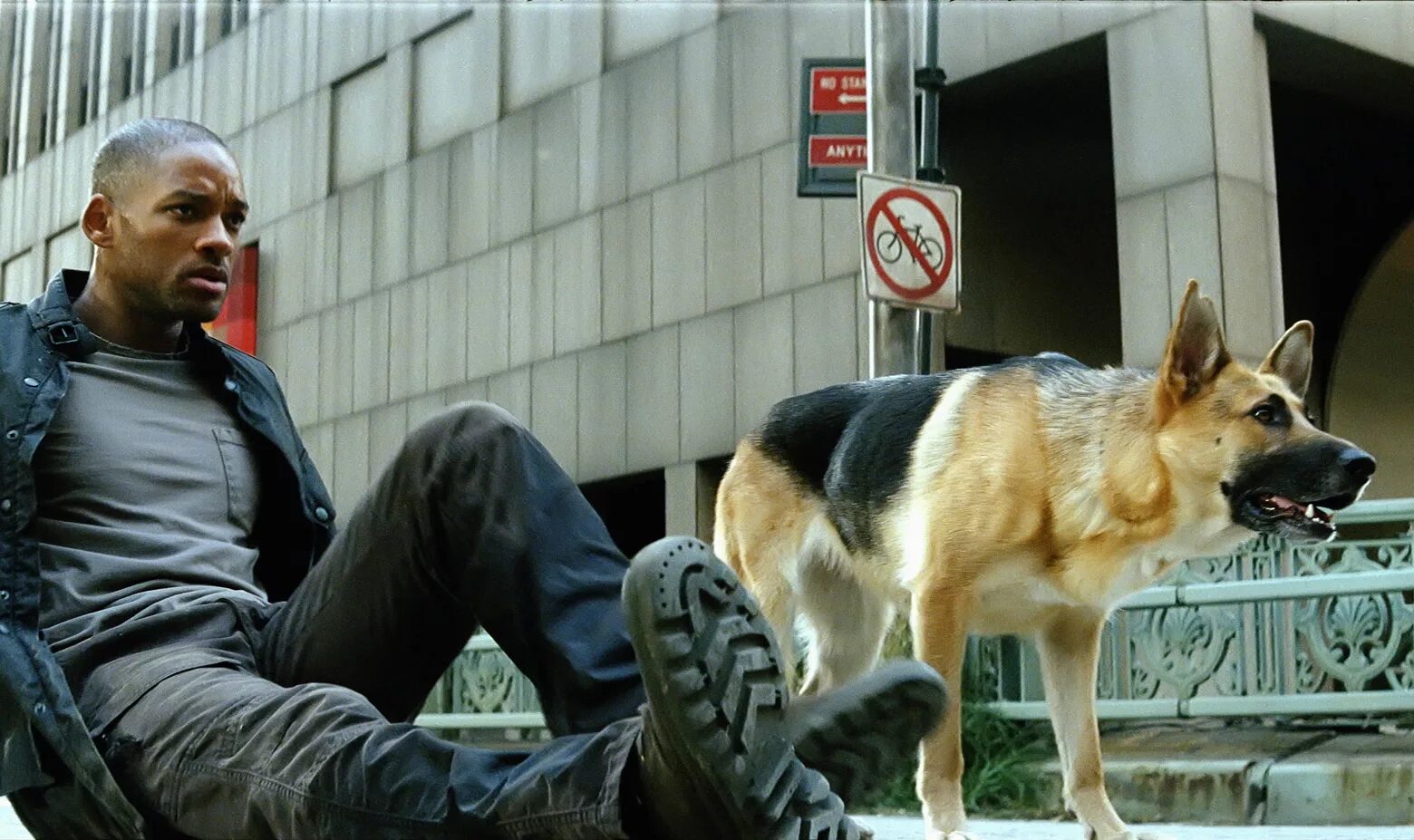 Я легенда мем. Я – легенда фильм 2007. Подобие я легенда. Я – легенда 2 фильм 2019. Уилл смит я легенда.