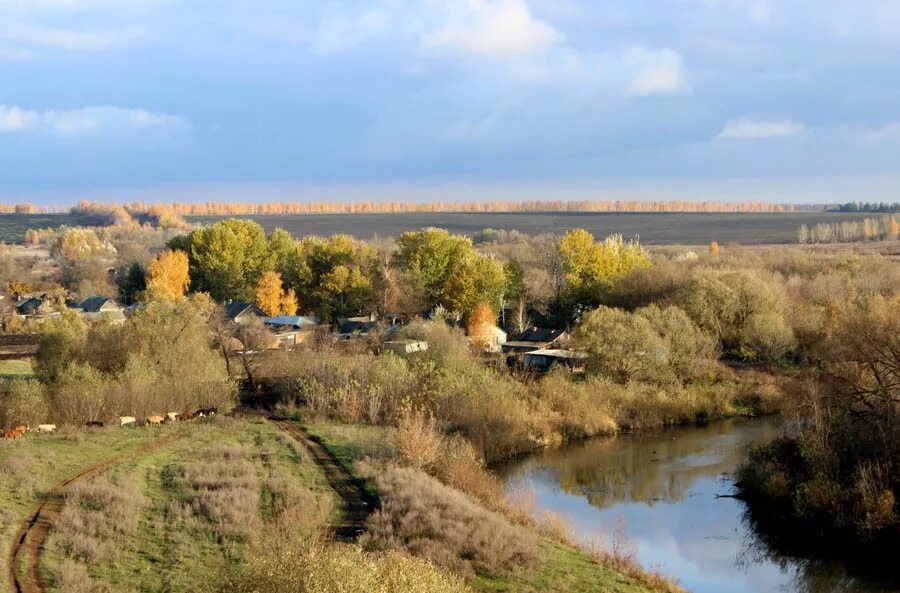 Ивановка сельсовет