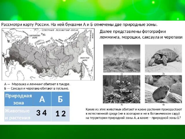 Природные зоны четвертый класс впр. Карта природных зон России 4 класс ВПР. ВПР окружающий мир природные зоны. Карта природные зоны России 4 класс окружающий мир для ВПР.