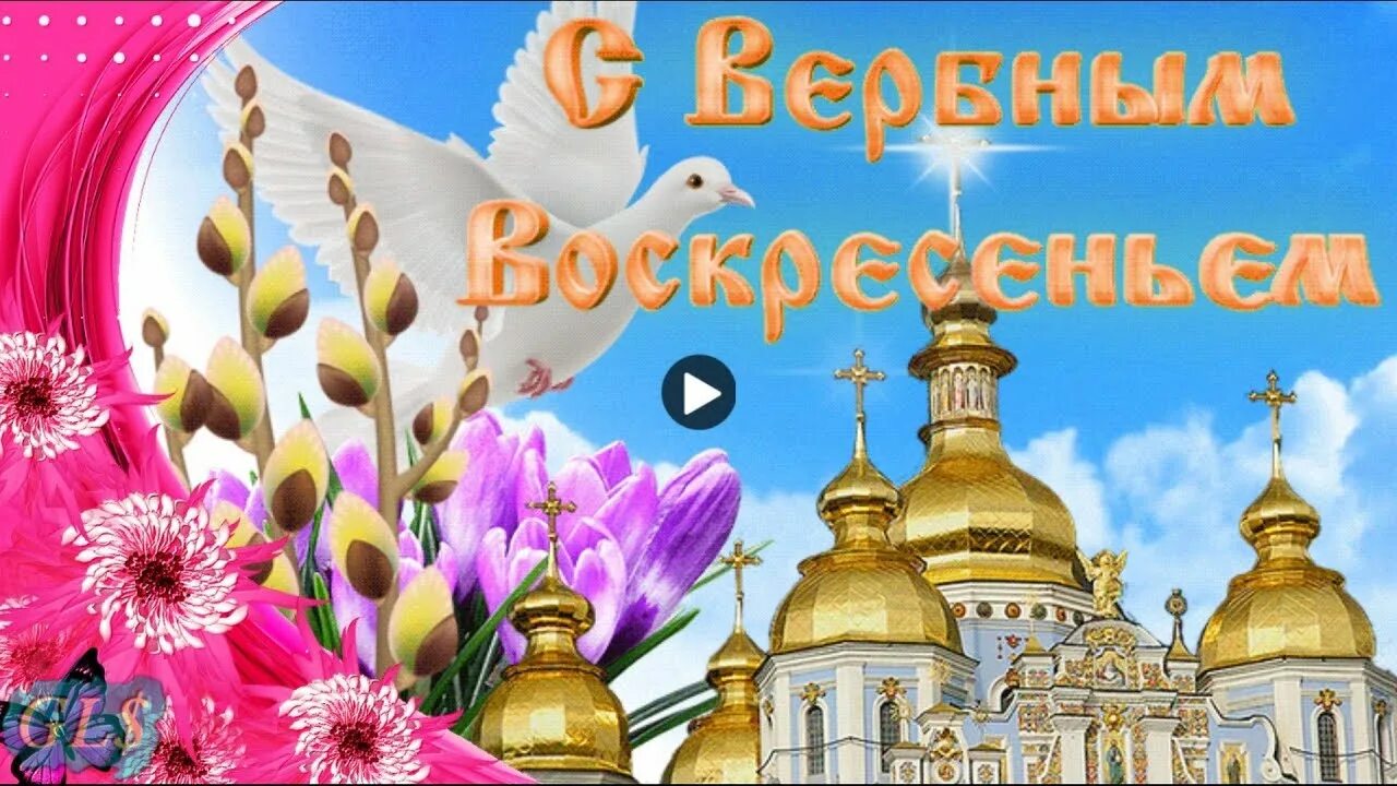 Вербное воскресенье что это за праздник. С Вербным воскресеньем. С Вербным воскресеньем открытки. Поздравить с Вербным воскресеньем. С праздником Вербное воскресенье.