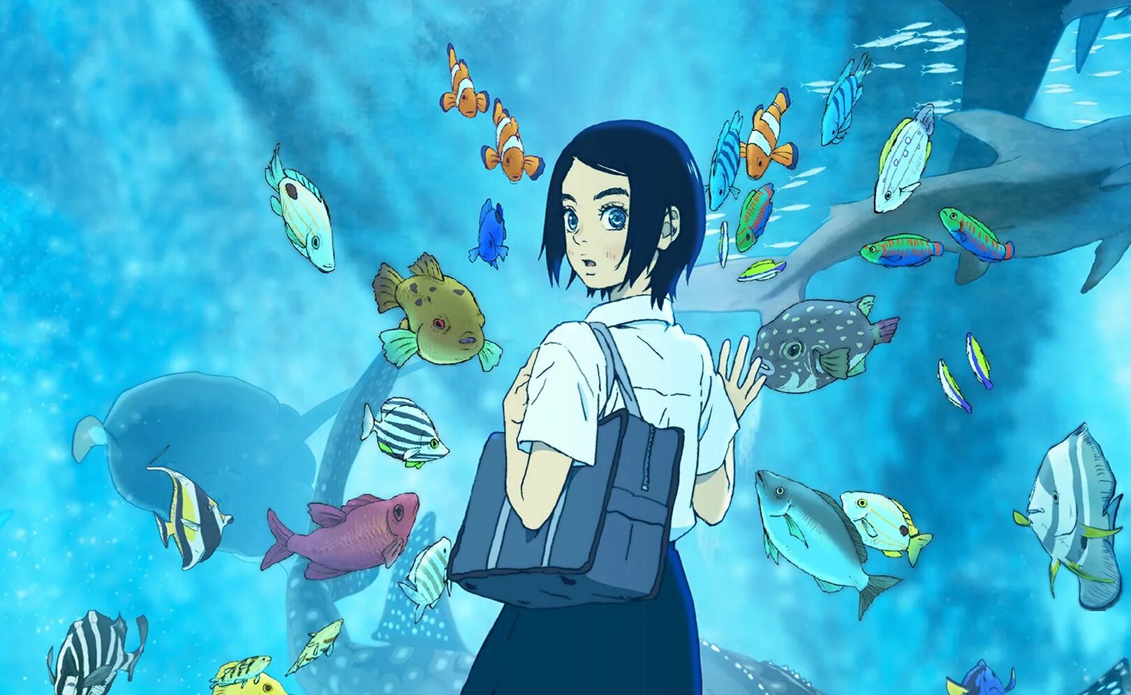 Дети моря 2. Дитя моря мультфильм 2019. kaijuu no kodomo аниме. дитя океана аниме. аниме про океан и девочку.