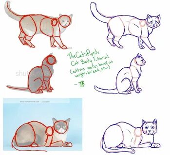 Как нарисовать кота дома