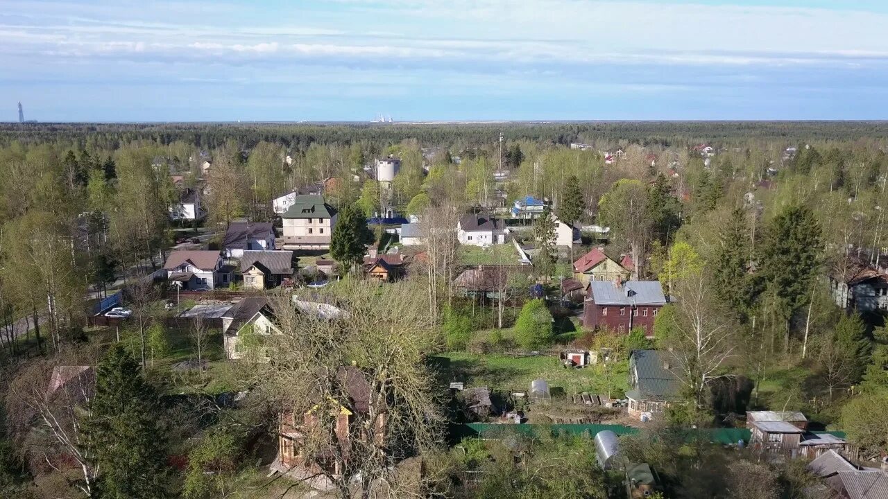 Поселок левашово. Левашово курган. Дача маяковского в левашово. Посёлок левашово спб. Посёлок левашово ленинградской.