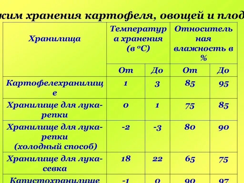 Температура картофеля в погребе. Хранение картофеля температурный режим в хранилище. оптимальная температура и влажность для хранения картофеля. какая оптимальная температура для хранения картофеля. температурно-влажностные режимы хранения картофеля.